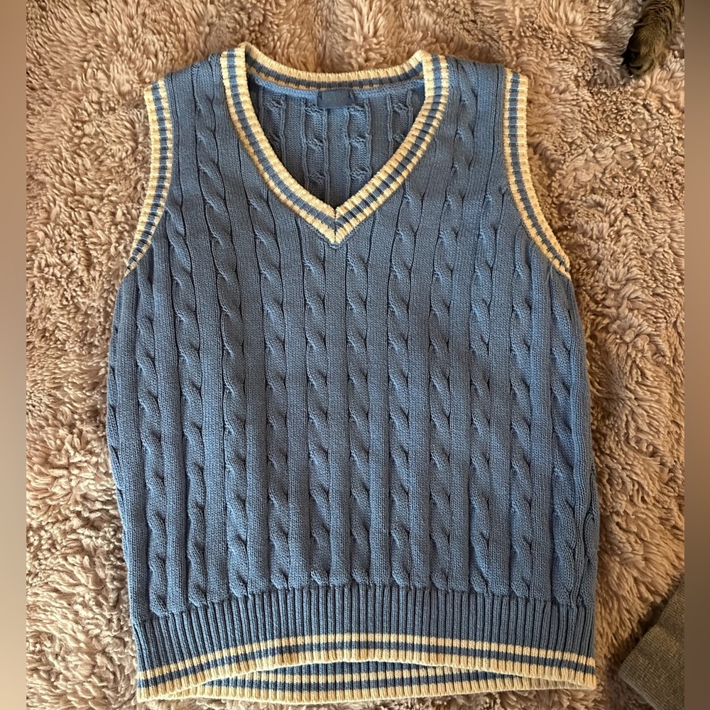 brandy melville blue & white sweater v-neck (size small)